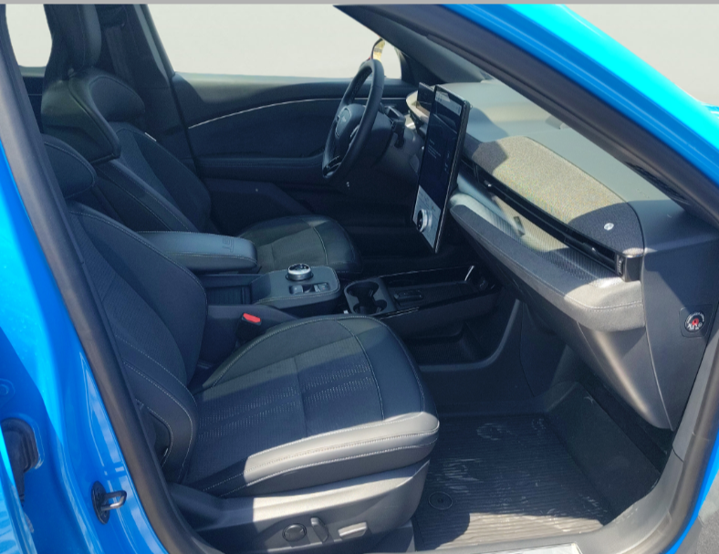 Ford Mach-E употребяван
