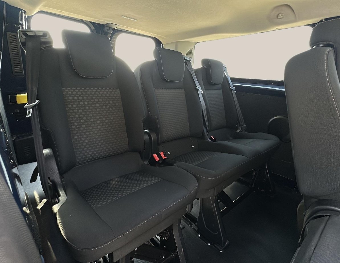 Ford Custom употребяван