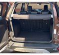 Ford EcoSport употребяван