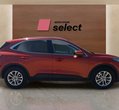 Ford Kuga употребяван