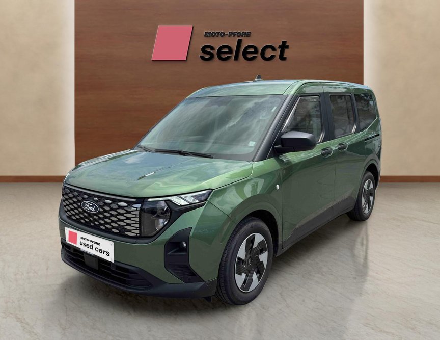 Ford E-Courier употребяван