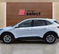 Ford Kuga употребяван