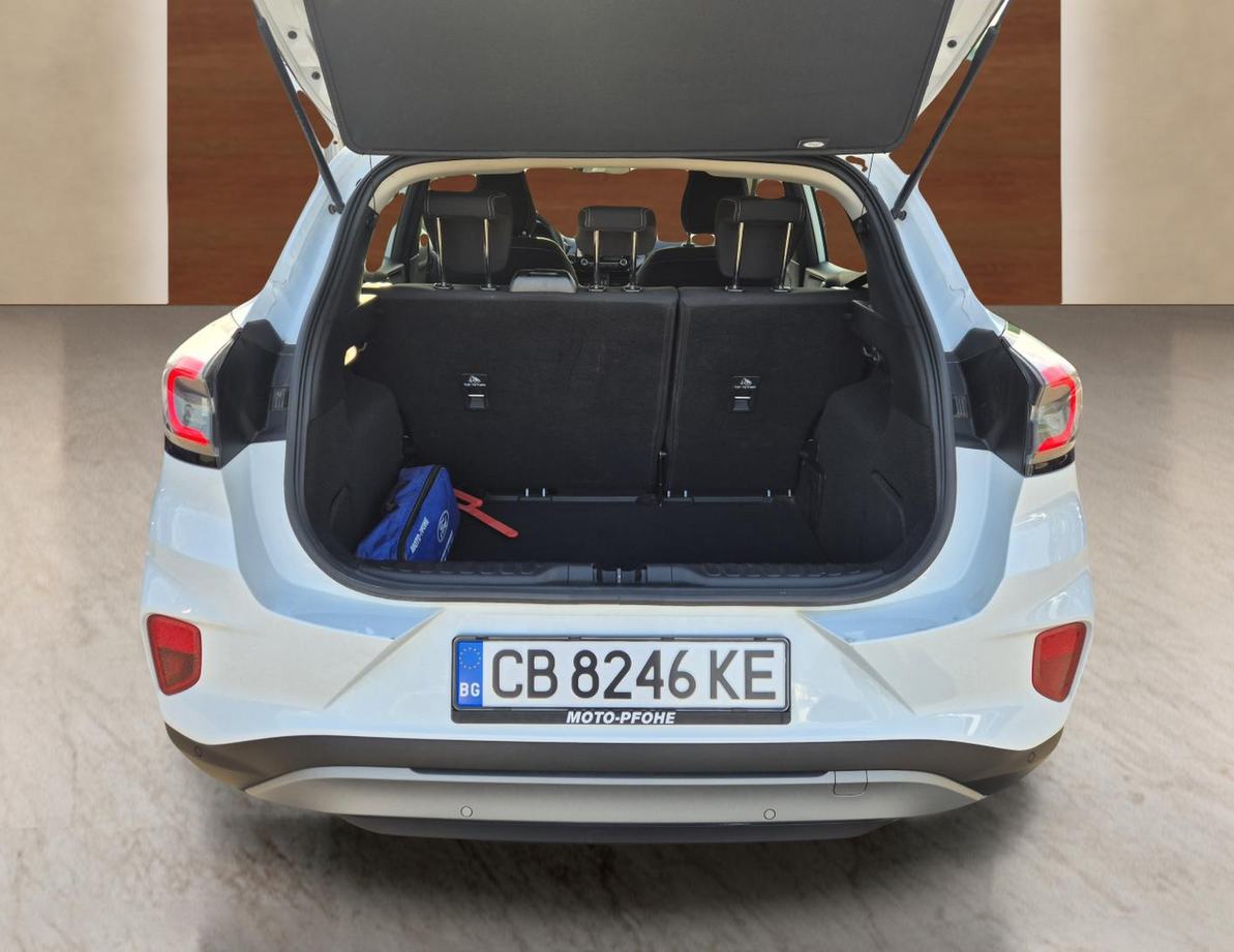 Ford Puma употребяван