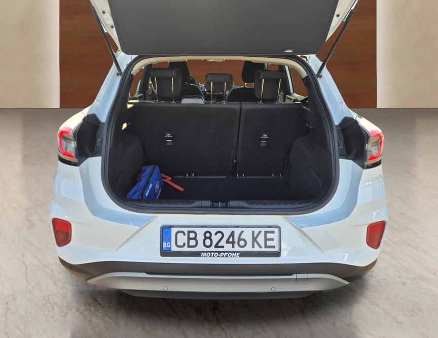 Ford Puma употребяван
