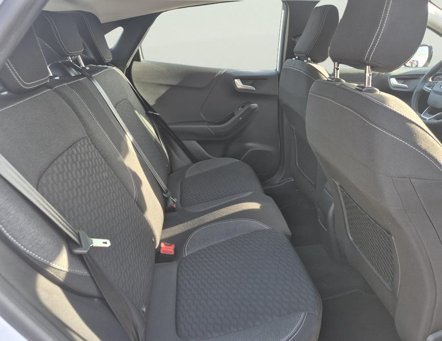 Ford Puma употребяван