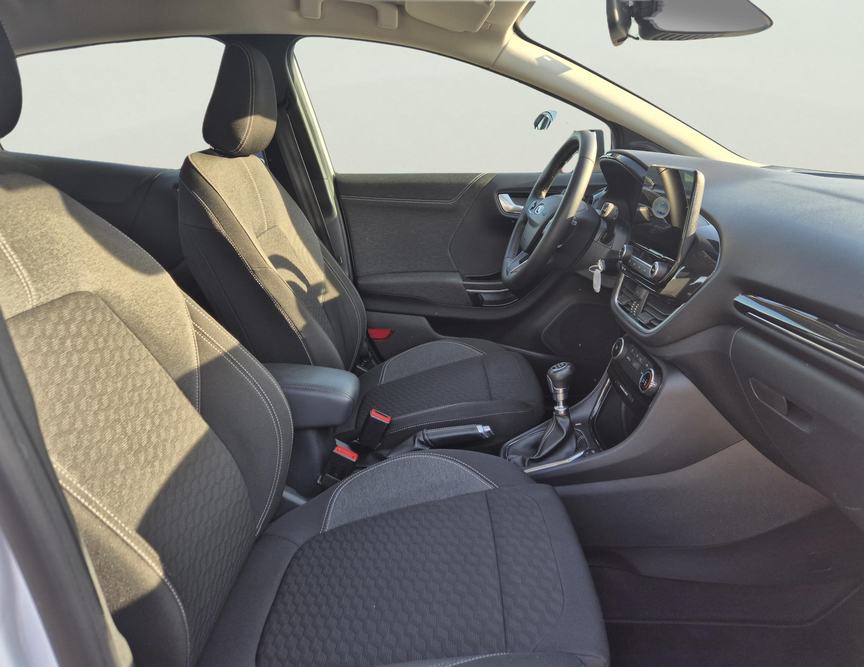 Ford Puma употребяван