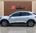 Ford Kuga употребяван