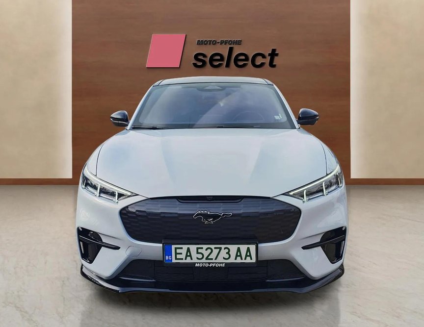 Ford Mach-E употребяван