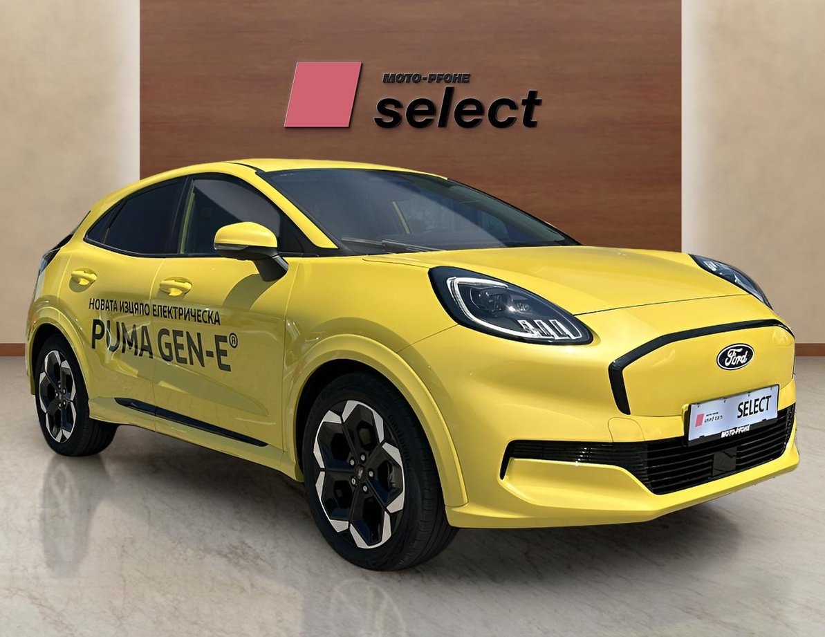 Ford Puma употребяван