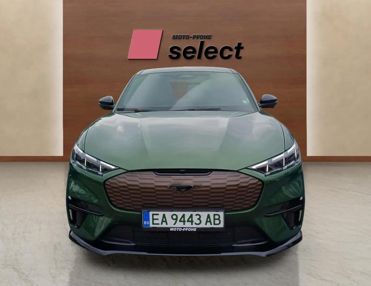 Ford Mach-E употребяван