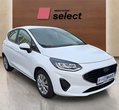 Ford Fiesta употребяван