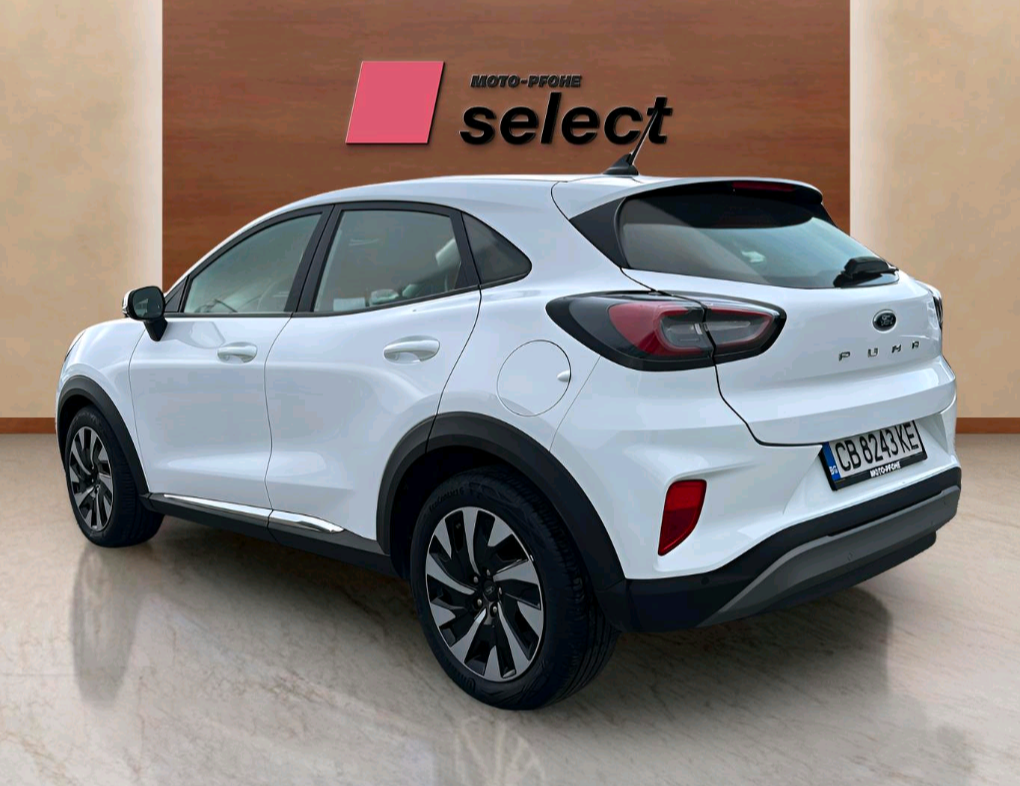 Ford Puma употребяван