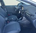 Ford Puma употребяван