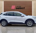 Ford Kuga употребяван