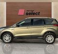 Ford Kuga употребяван