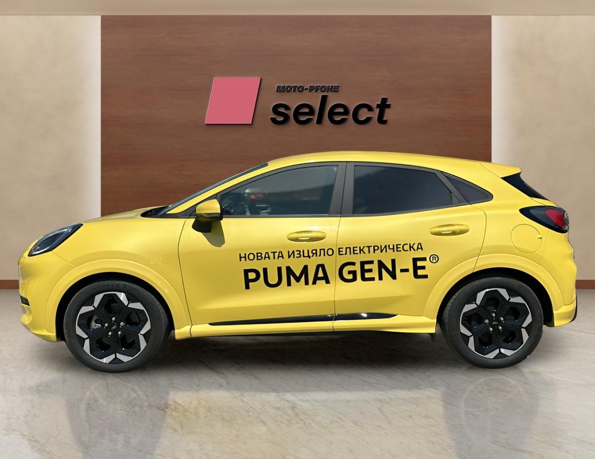 Ford Puma употребяван