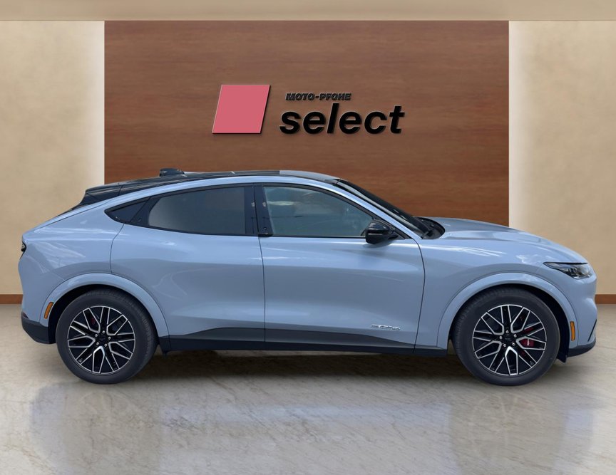 Ford Mach-E употребяван