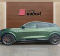 Ford Mach-E употребяван