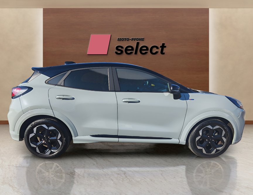 Ford Puma употребяван
