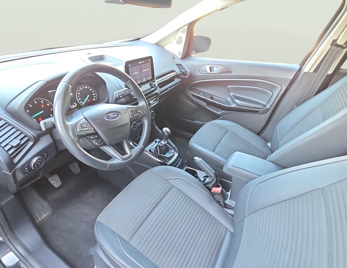 Ford EcoSport употребяван