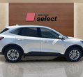 Ford Kuga употребяван
