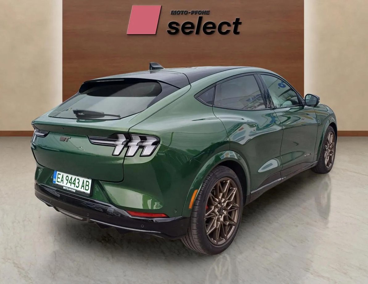 Ford Mach-E употребяван