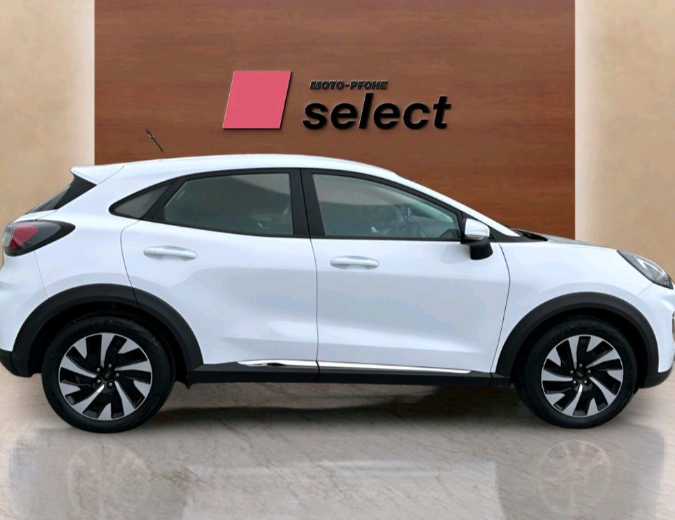 Ford Puma употребяван