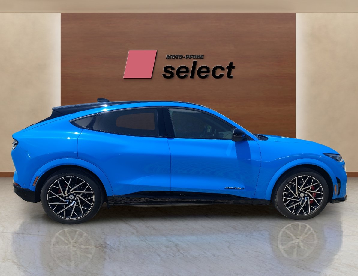 Ford Mach-E употребяван