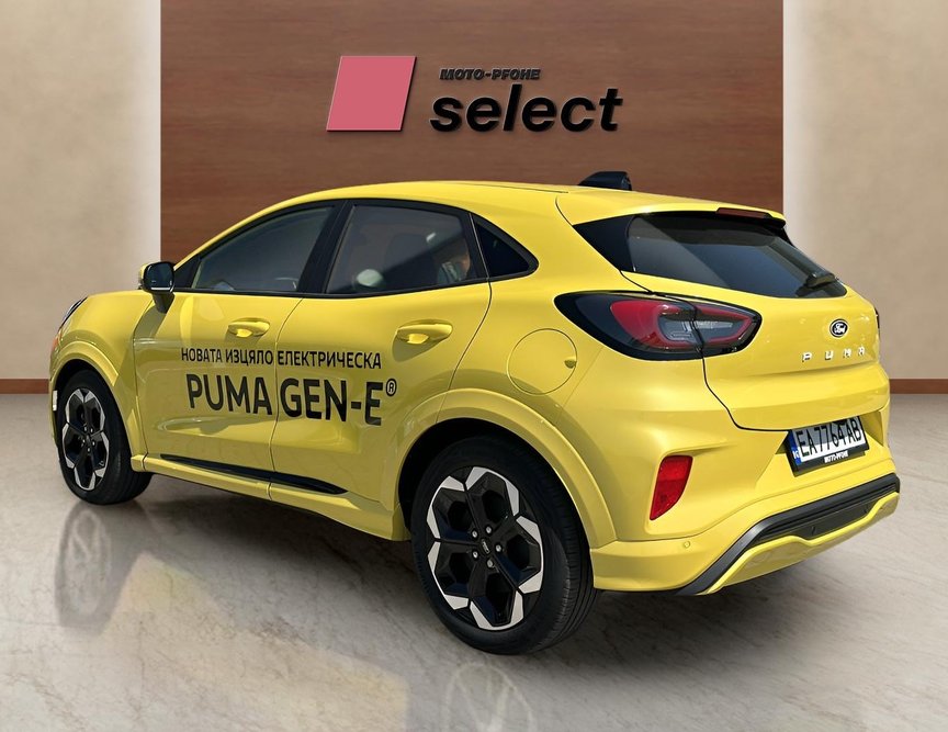 Ford Puma употребяван