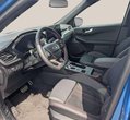 Ford Kuga употребяван