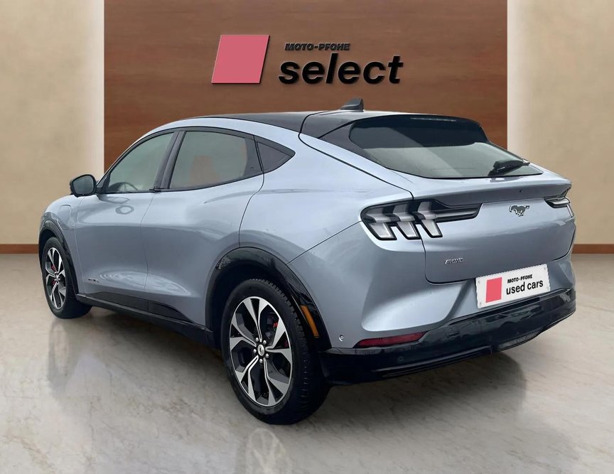Ford Mach-E употребяван