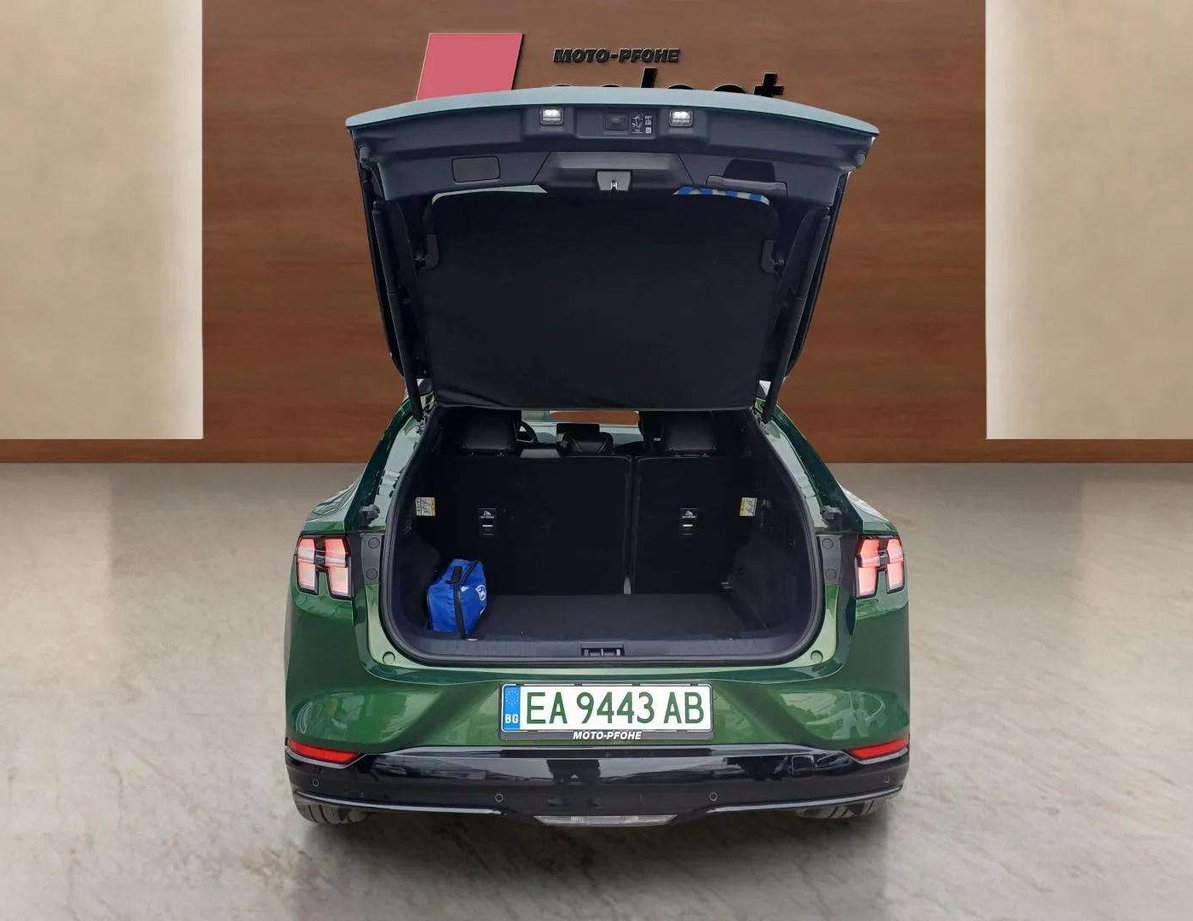 Ford Mach-E употребяван