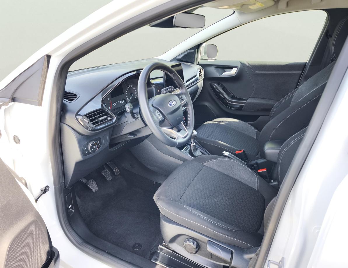 Ford Puma употребяван