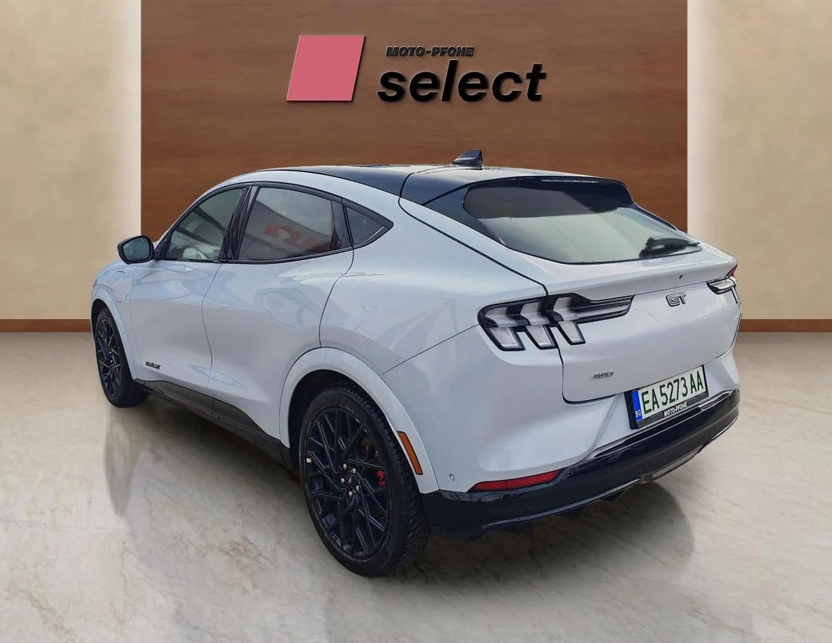 Ford Mach-E употребяван