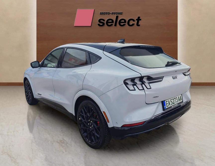 Ford Mach-E употребяван