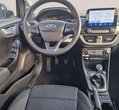 Ford Puma употребяван