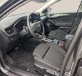 Ford Focus употребяван