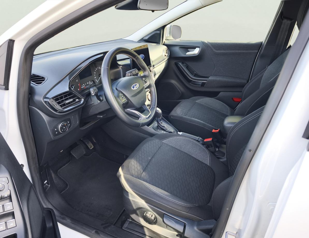 Ford Puma употребяван