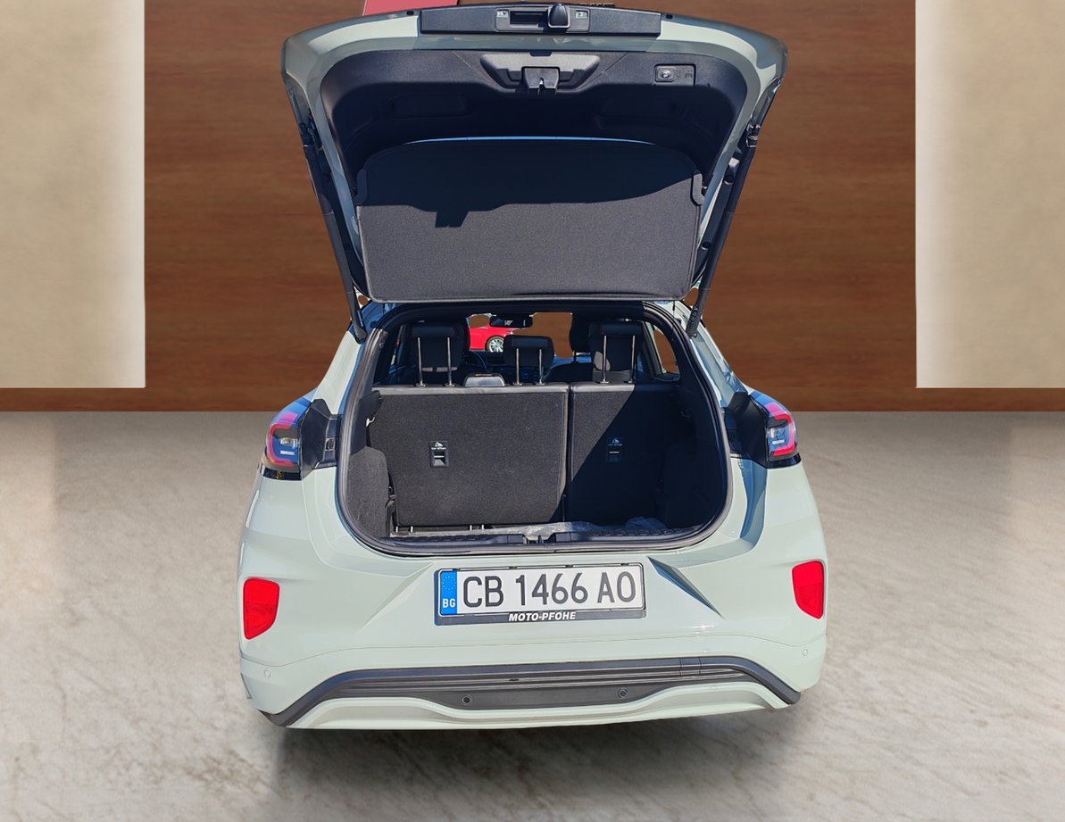 Ford Puma употребяван