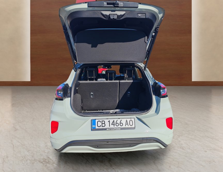 Ford Puma употребяван