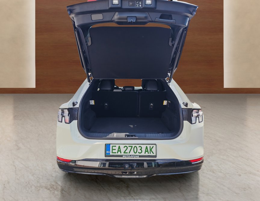 Ford Mach-E употребяван