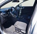 Ford Puma употребяван