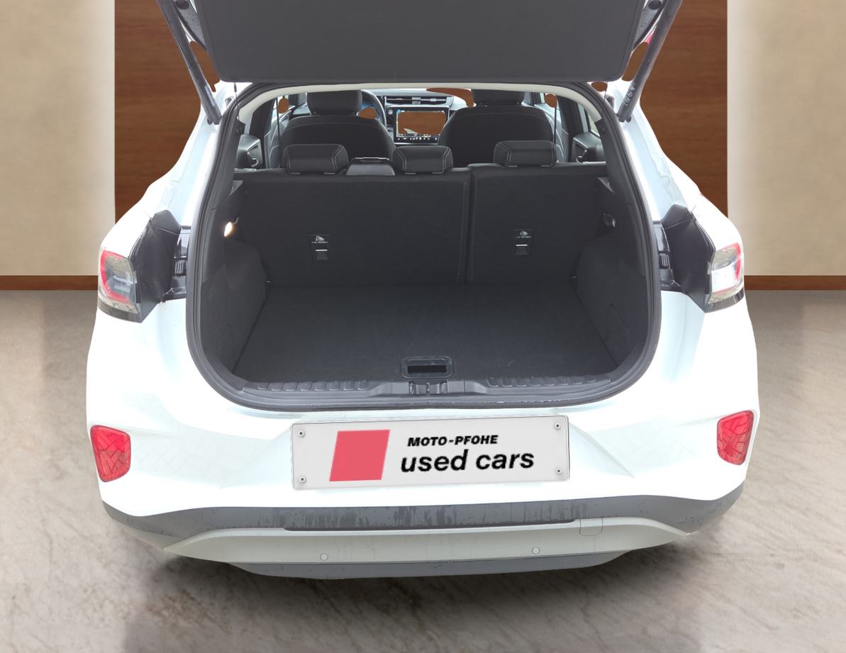 Ford Puma употребяван