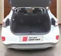 Ford Puma употребяван