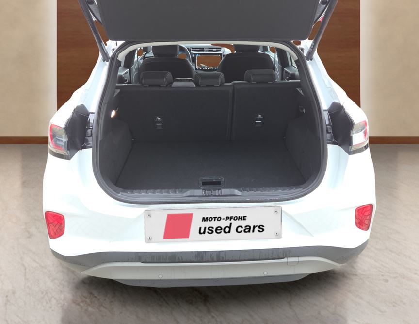 Ford Puma употребяван
