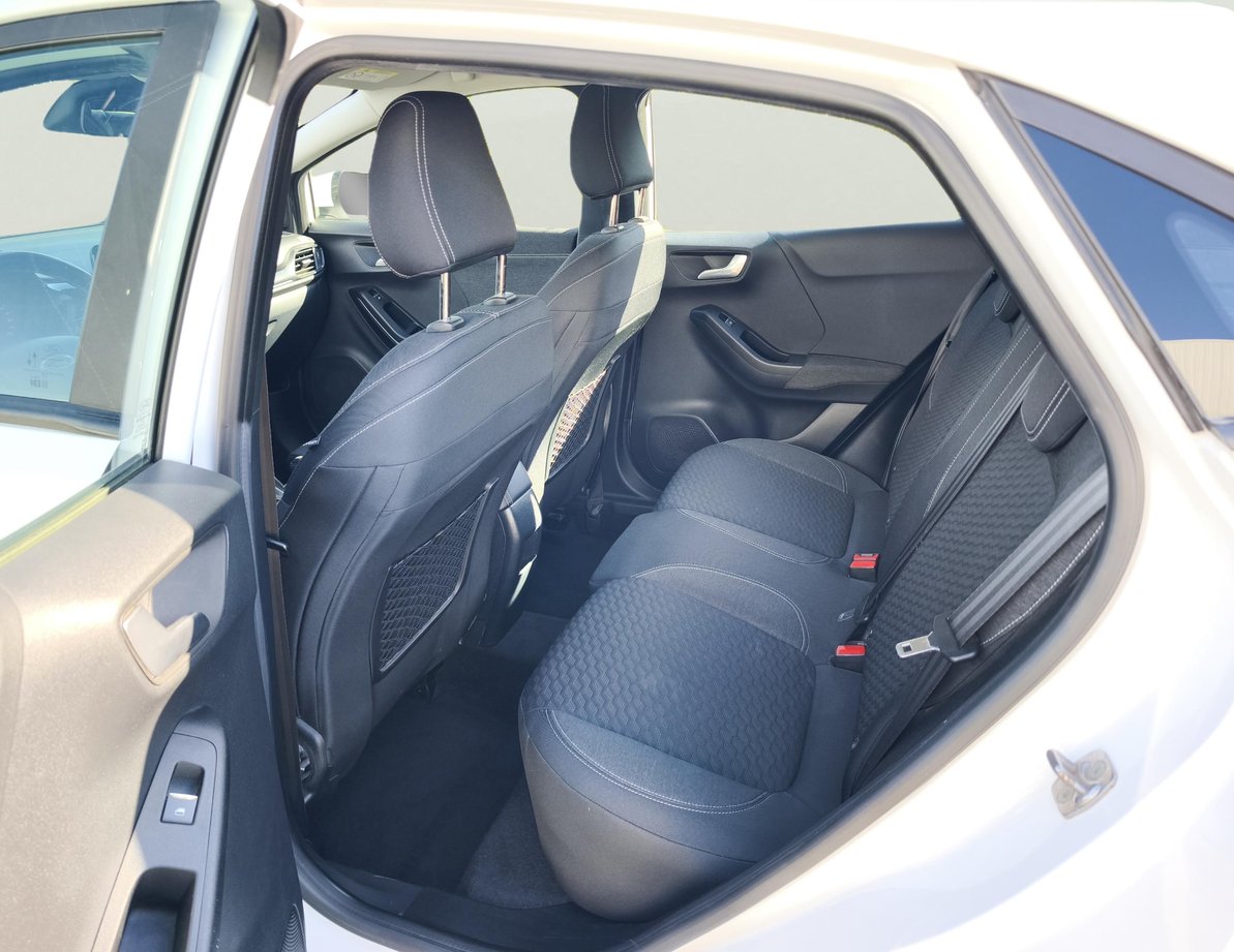 Ford Puma употребяван