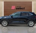 Ford Kuga употребяван