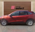Ford Kuga употребяван