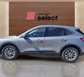 Ford Kuga употребяван