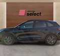 Ford Kuga употребяван